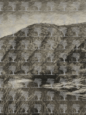 Assaka: A Breath of Hope in the Heart of Tiznit__artistic White&Black