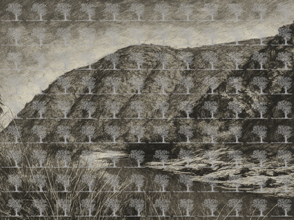 Assaka: A Breath of Hope in the Heart of Tiznit__artistic White&Black