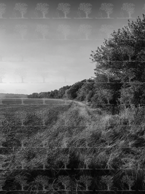 Shifting Perspectives__artistic White&Black