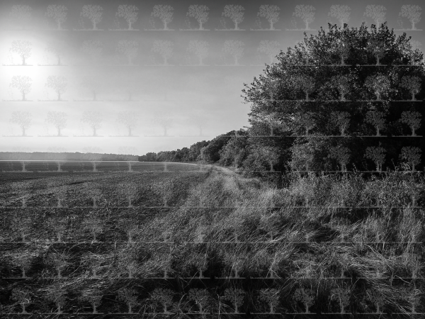 Shifting Perspectives__artistic White&Black