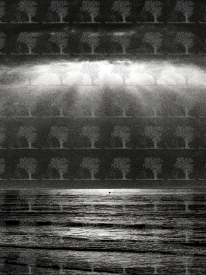 Golden Hour at Aglou Beach__Artistic Black and White