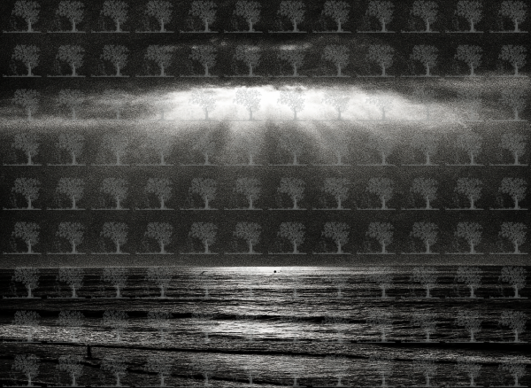 Golden Hour at Aglou Beach__Artistic Black and White